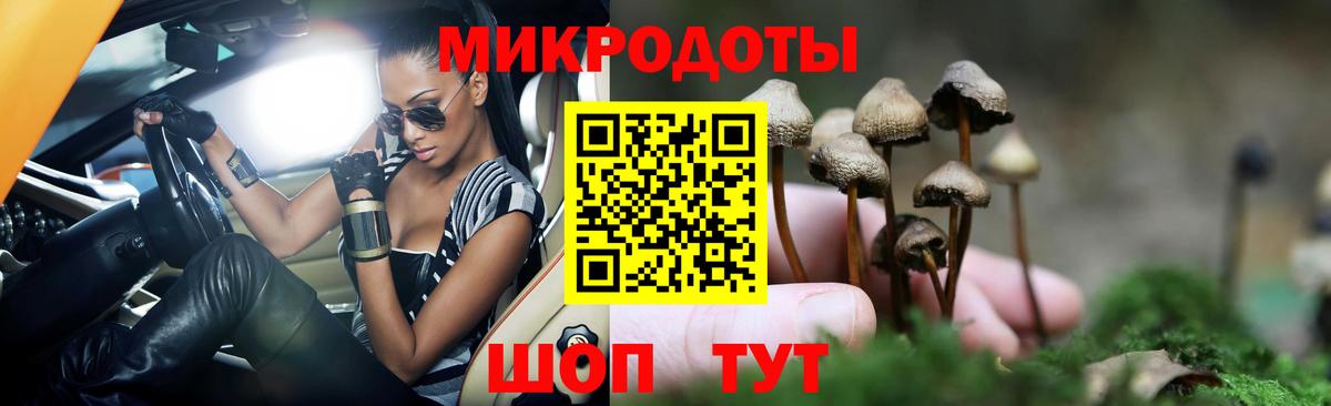 Галлюциногенные грибы Psilocybine cubensis Черногорск